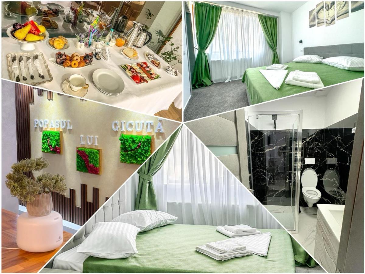 Popasul Lui Gicuta Bed & Breakfast Curtea de Argeş Eksteriør bilde